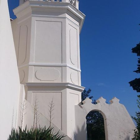 Villa-Chateau Les Terrasses - Tamaris, Plage Des Sablettes, Mer Au Bas De La Propriete La Seyne-sur-Mer Exteriör bild