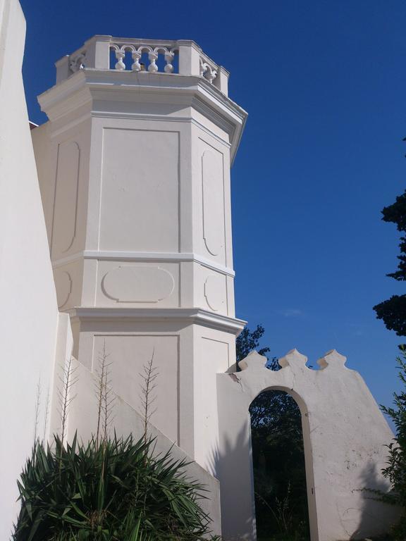 Villa-Chateau Les Terrasses - Tamaris, Plage Des Sablettes, Mer Au Bas De La Propriete La Seyne-sur-Mer Exteriör bild