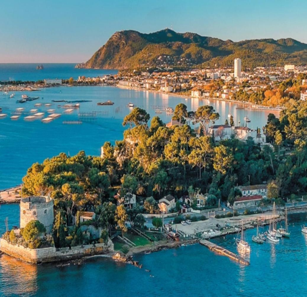 Villa-Chateau Les Terrasses - Tamaris, Plage Des Sablettes, Mer Au Bas De La Propriete La Seyne-sur-Mer Exteriör bild