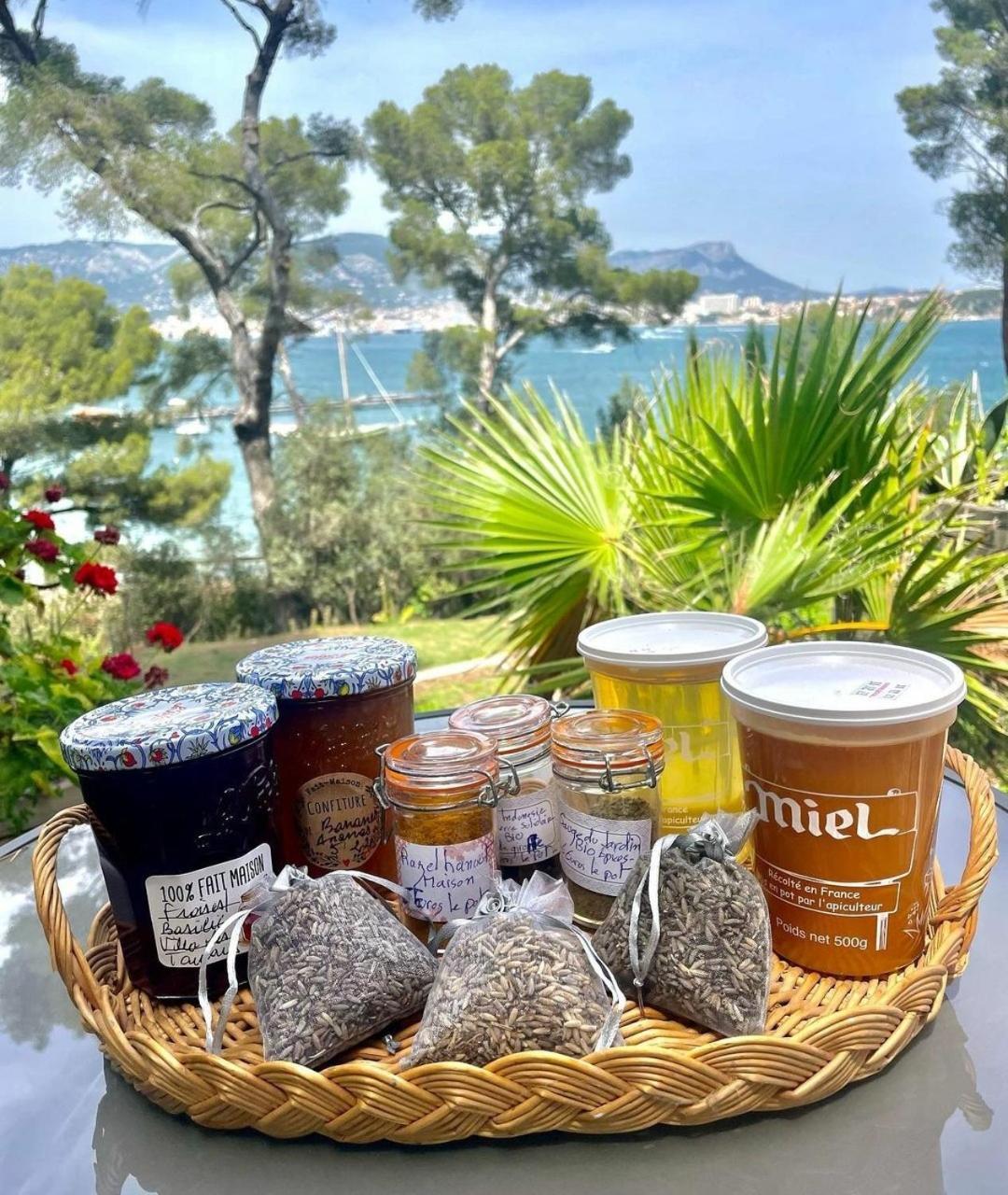 Villa-Chateau Les Terrasses - Tamaris, Plage Des Sablettes, Mer Au Bas De La Propriete La Seyne-sur-Mer Exteriör bild