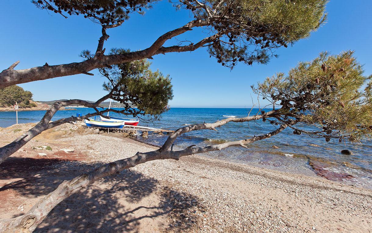 Villa-Chateau Les Terrasses - Tamaris, Plage Des Sablettes, Mer Au Bas De La Propriete La Seyne-sur-Mer Exteriör bild